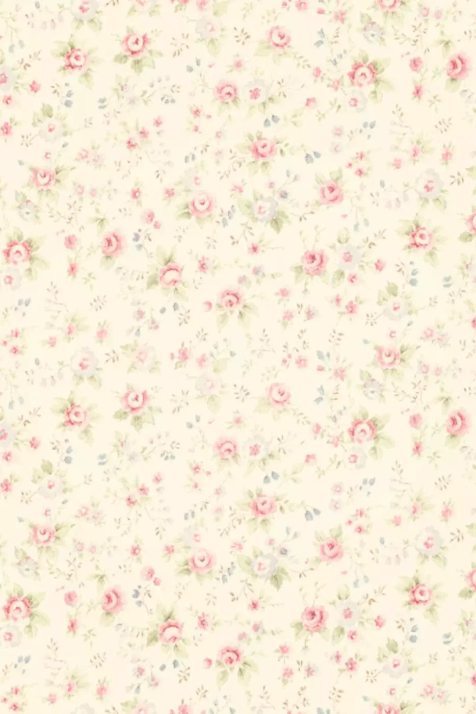 Vintage Rosie Cream Backdrop
