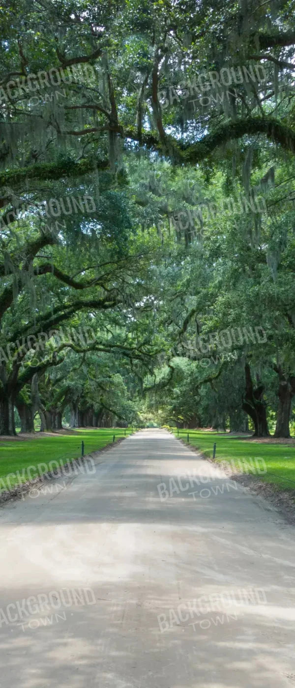 Vintage View 2 5X12 Ultracloth For Westcott X-Drop ( 60 X 144 Inch ) Backdrop