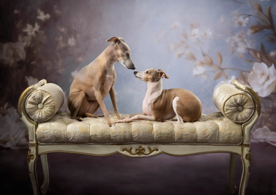 Vintage White Roses Backdrop