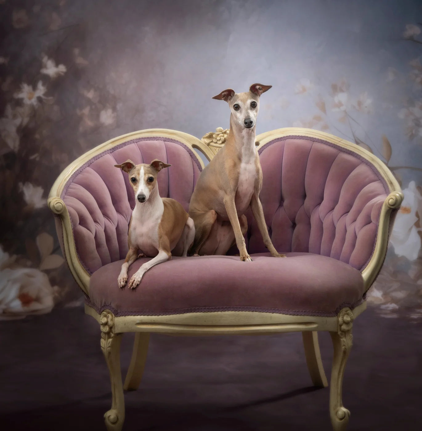 Vintage White Roses Backdrop