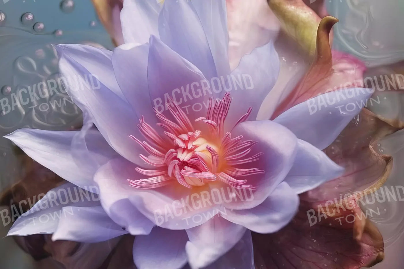 Violet Love Floral 12’X8’ Ultracloth (144 X 96 Inch) Backdrop