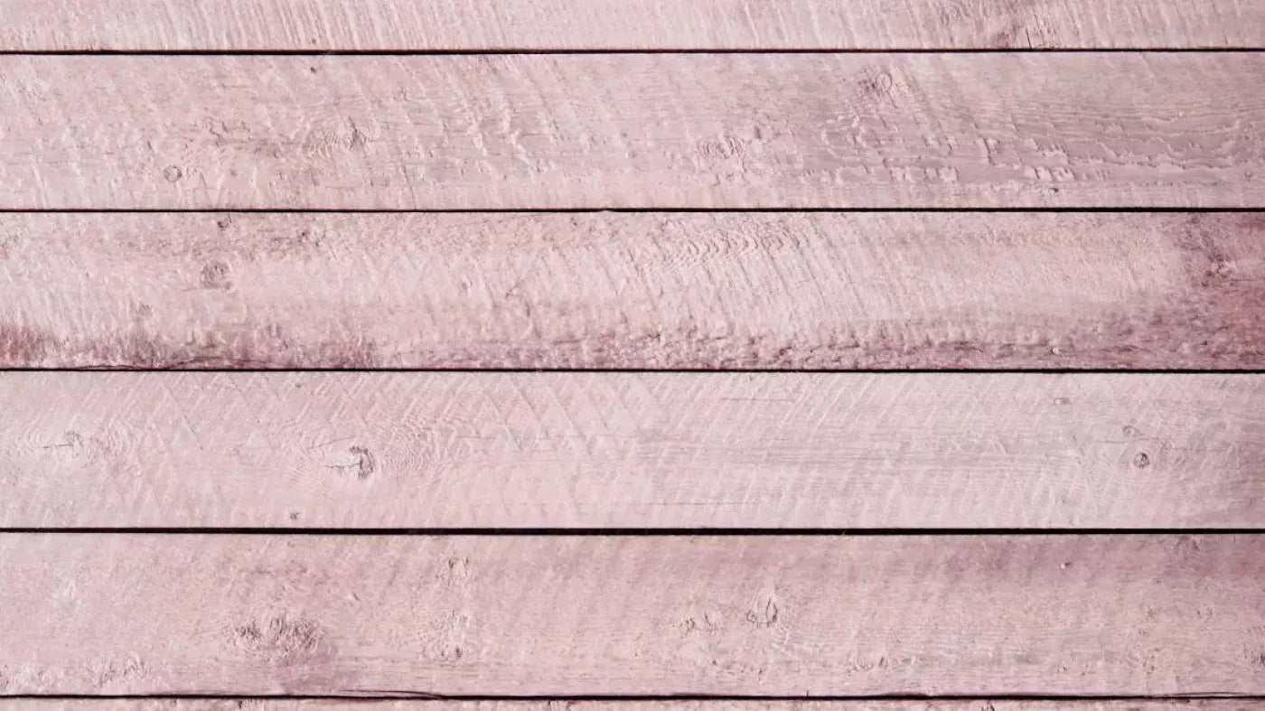 Walkway Pink 14X8 Ultracloth ( 168 X 96 Inch ) Backdrop