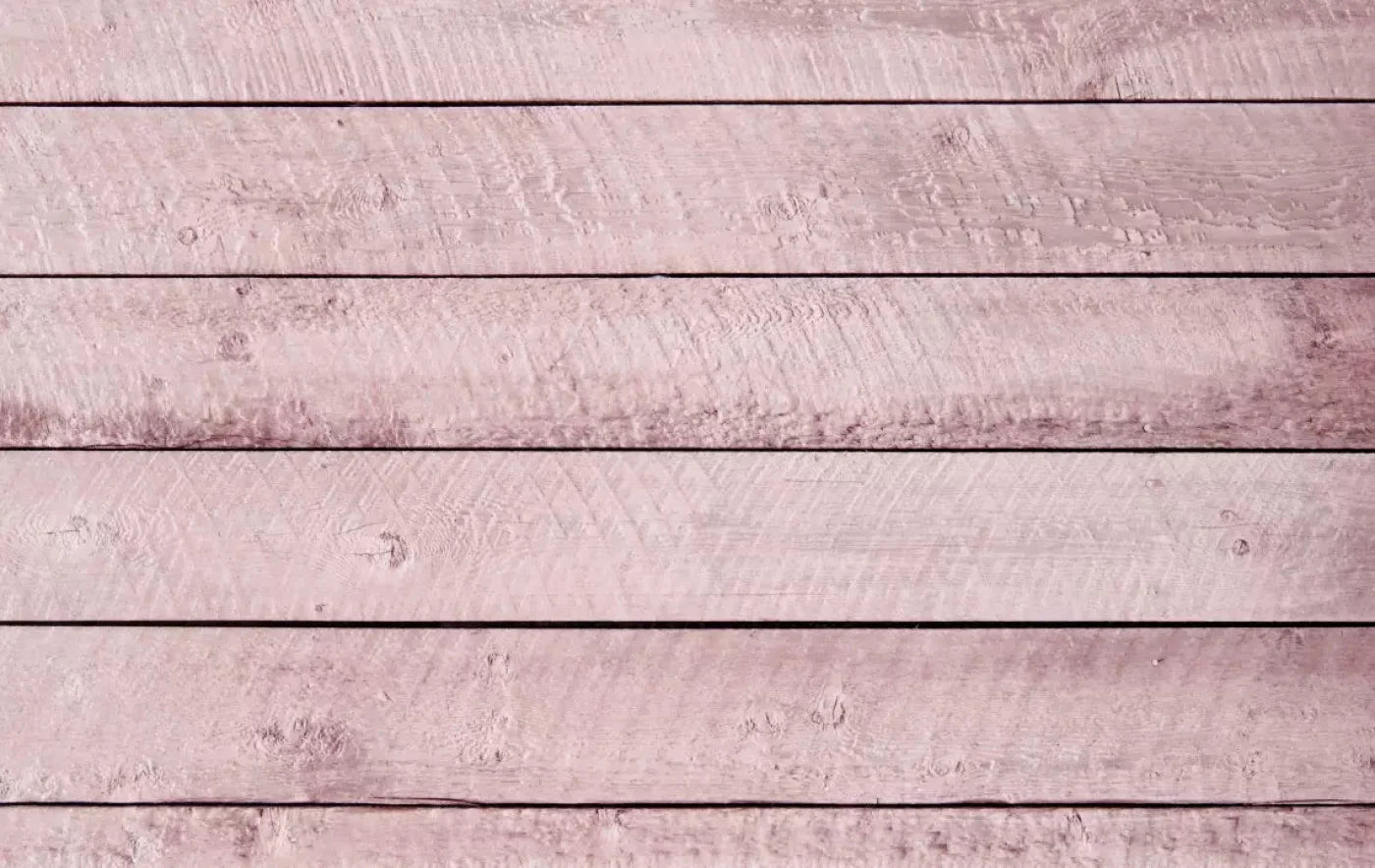 Walkway Pink 16X10 Ultracloth ( 192 X 120 Inch ) Backdrop