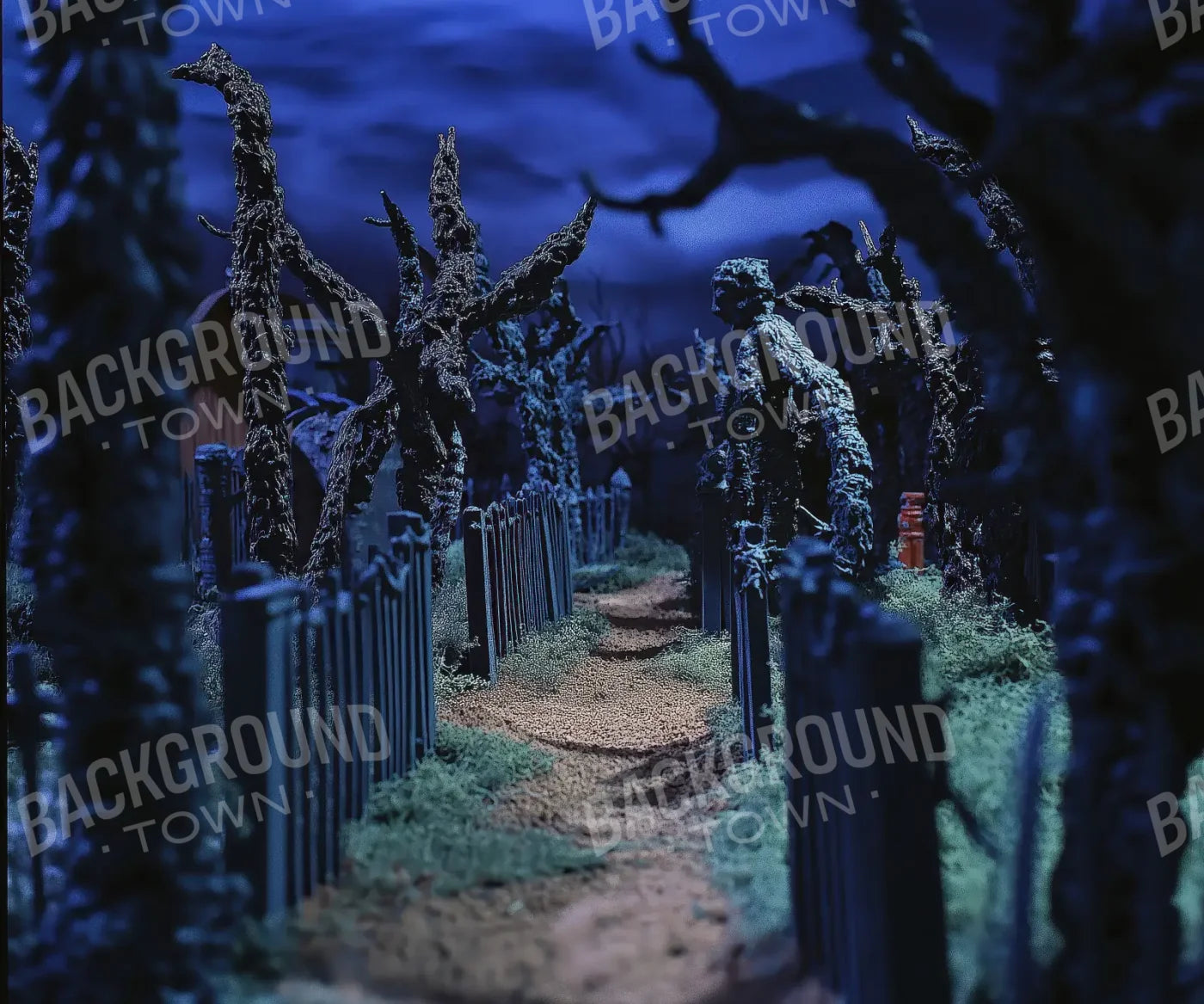 Walkway Through A Cemetary2 5’x4’2 Fleece (60 x 50 inch) Backdrop
