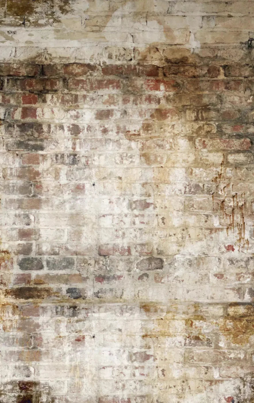 Wally 10X16 Ultracloth ( 120 X 192 Inch ) Backdrop