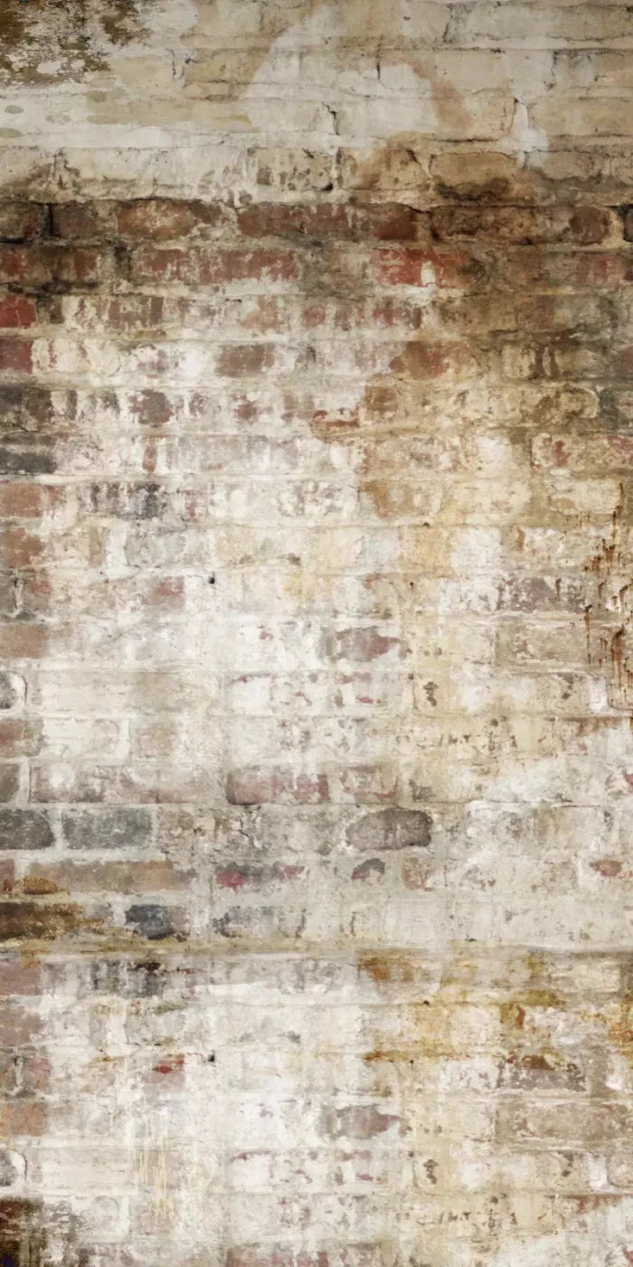 Wally 10X20 Ultracloth ( 120 X 240 Inch ) Backdrop