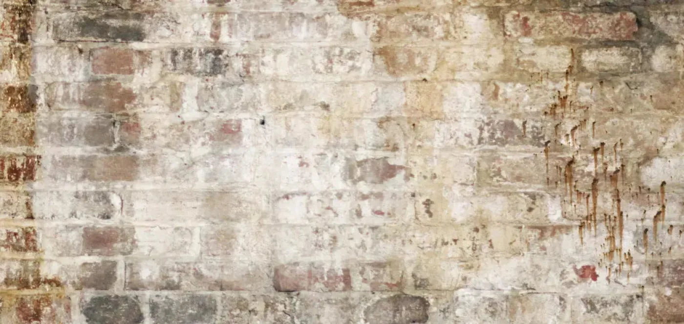 Wally 16X8 Ultracloth ( 192 X 96 Inch ) Backdrop