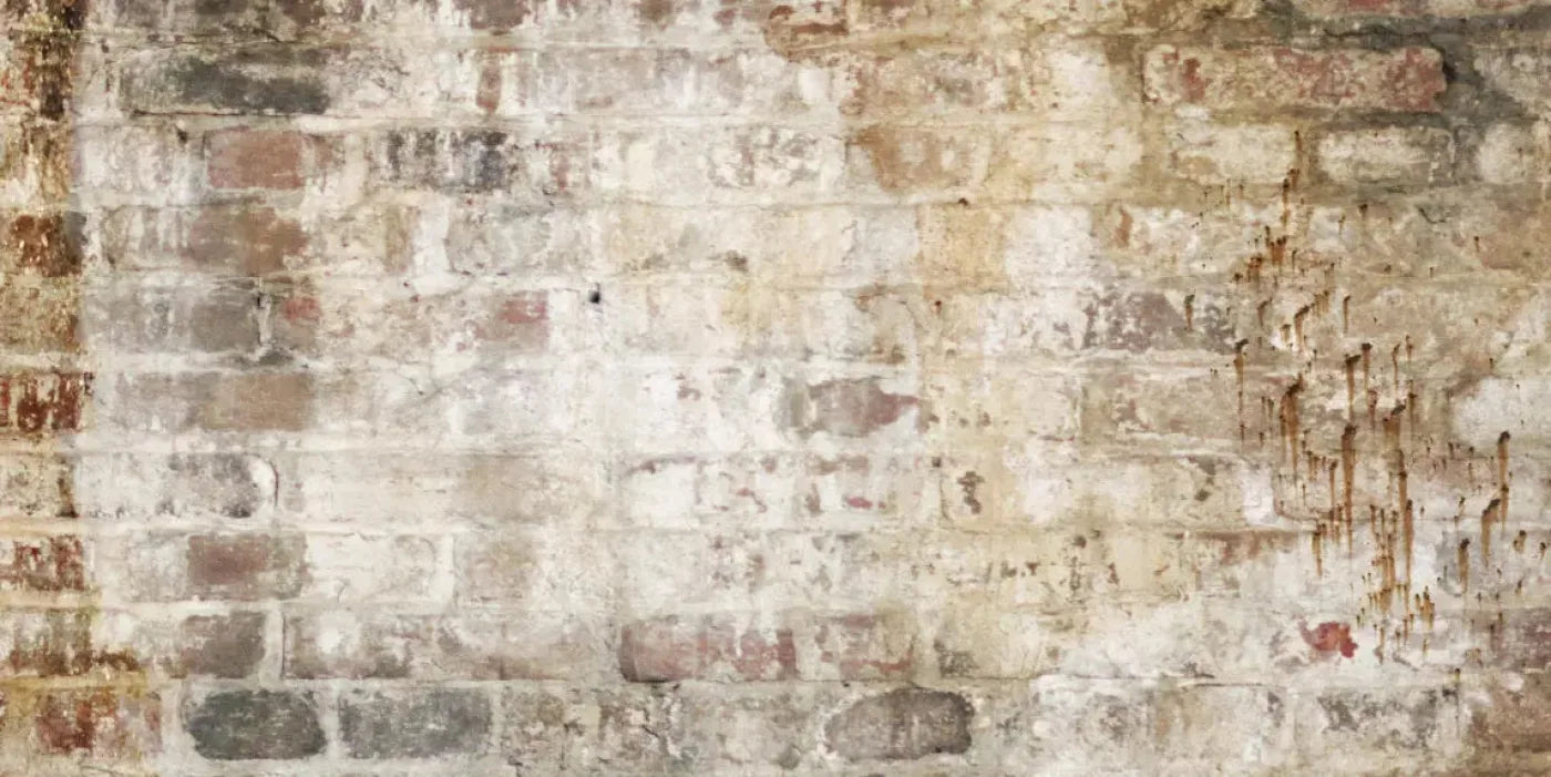 Wally 20X10 Ultracloth ( 240 X 120 Inch ) Backdrop