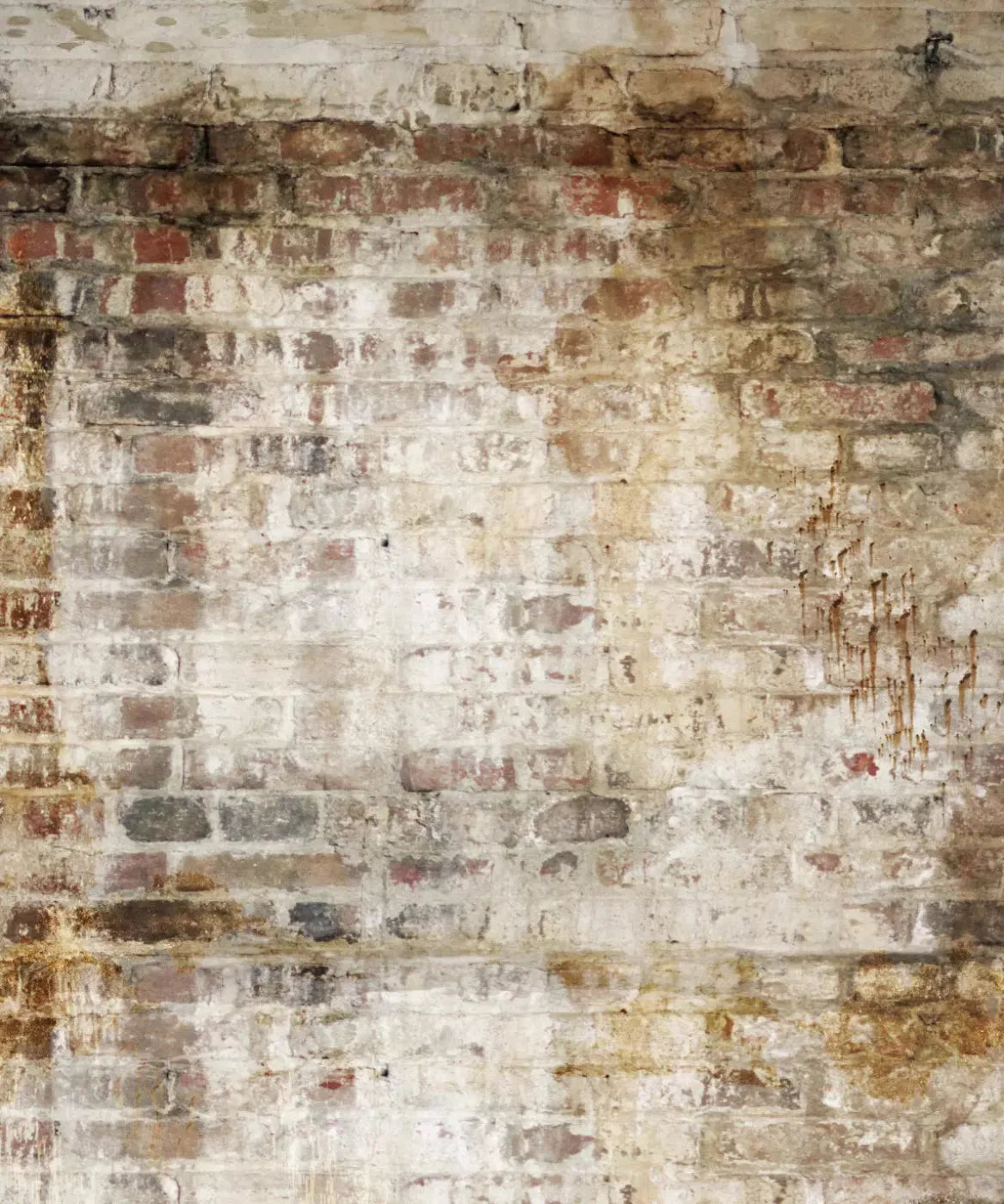 Beige Brick and Stone Backdrop for Photography
