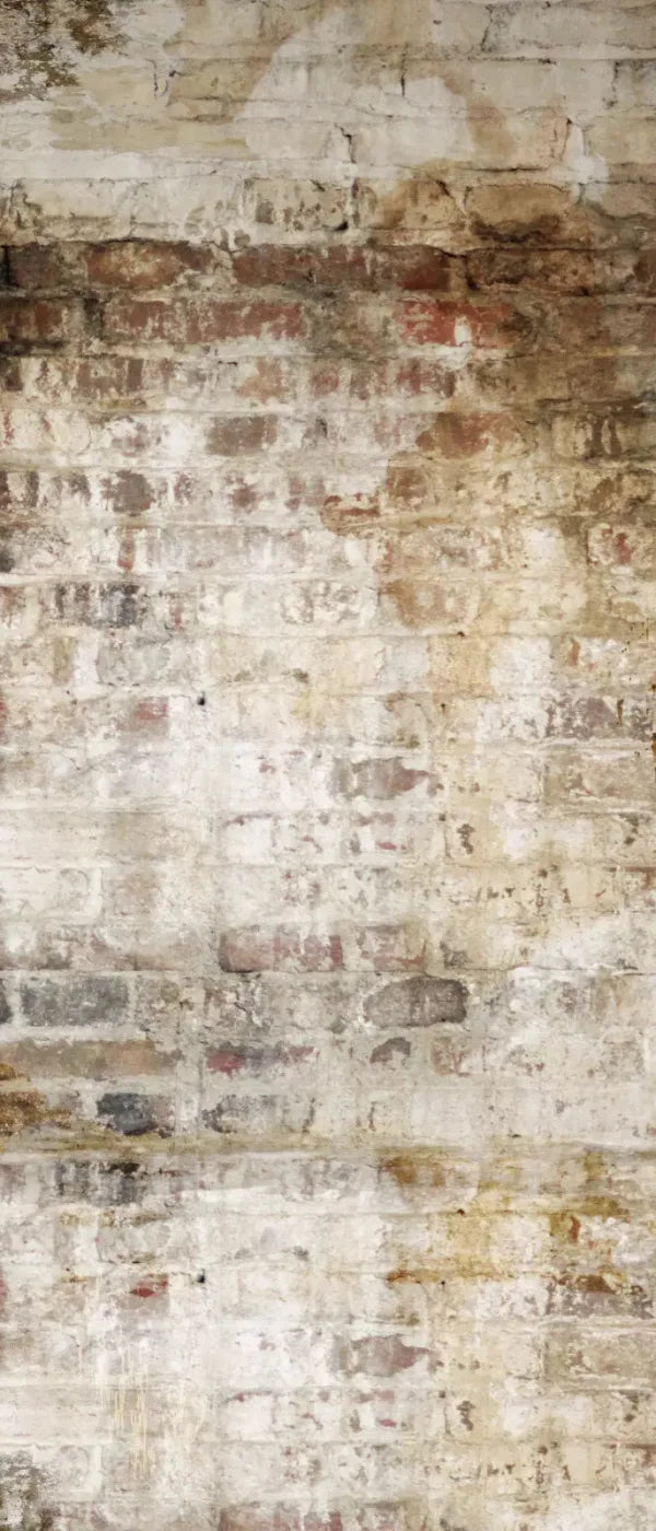 Wally 5X12 Ultracloth For Westcott X-Drop ( 60 X 144 Inch ) Backdrop