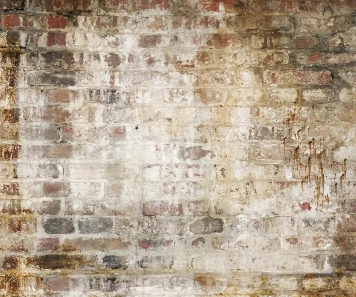 Wally 5X42 Fleece ( 60 X 50 Inch ) Backdrop