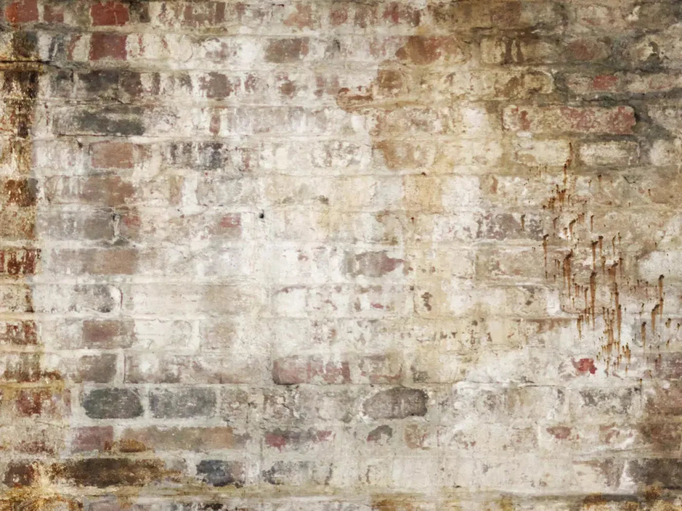 Wally 7X5 Ultracloth ( 84 X 60 Inch ) Backdrop