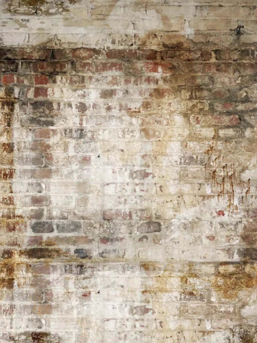 Wally 8X10 Fleece ( 96 X 120 Inch ) Backdrop