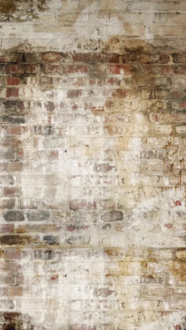 Wally 8X14 Ultracloth ( 96 X 168 Inch ) Backdrop