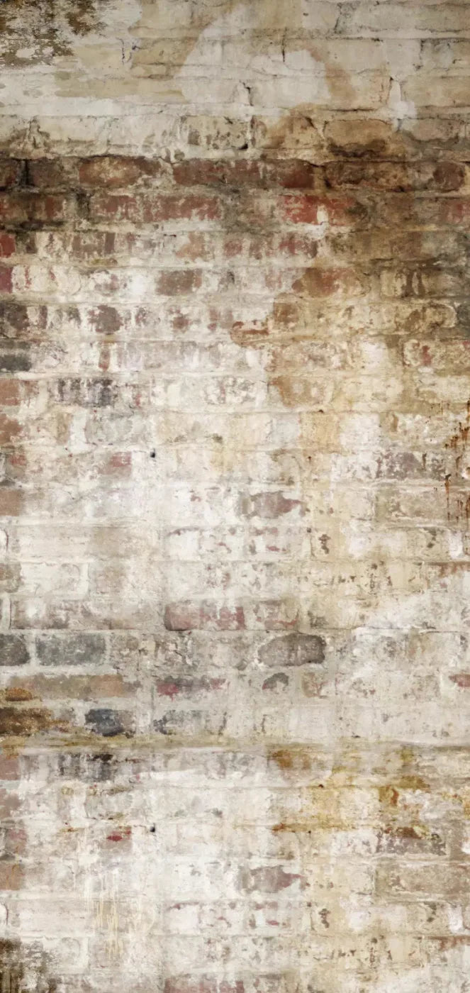 Wally 8X16 Ultracloth ( 96 X 192 Inch ) Backdrop