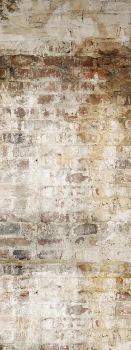 Wally 8X20 Ultracloth ( 96 X 240 Inch ) Backdrop