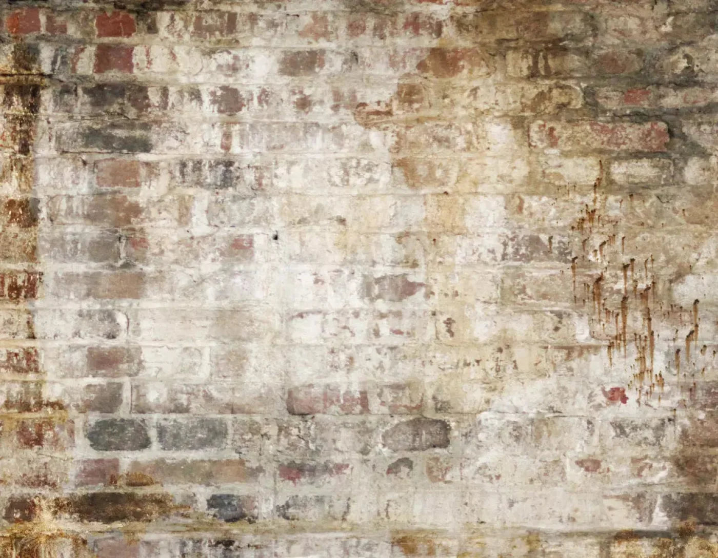 Wally 8X6 Fleece ( 96 X 72 Inch ) Backdrop