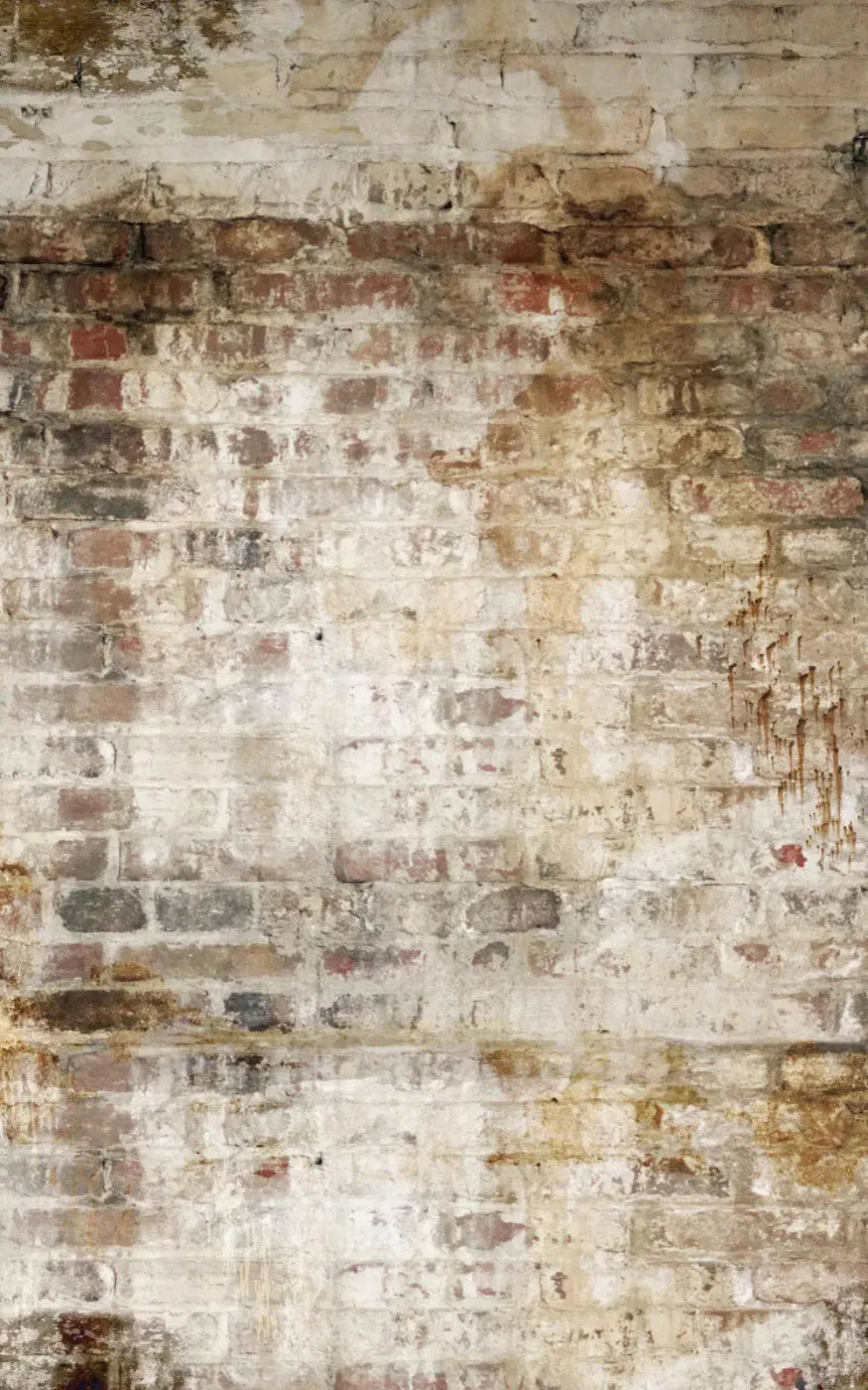 Wally 9X14 Ultracloth ( 108 X 168 Inch ) Backdrop