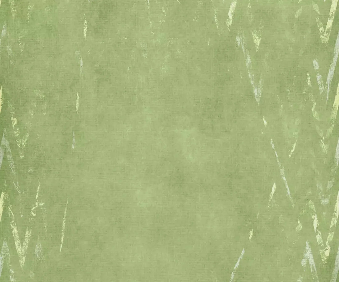 Walt 5X42 Fleece ( 60 X 50 Inch ) Backdrop