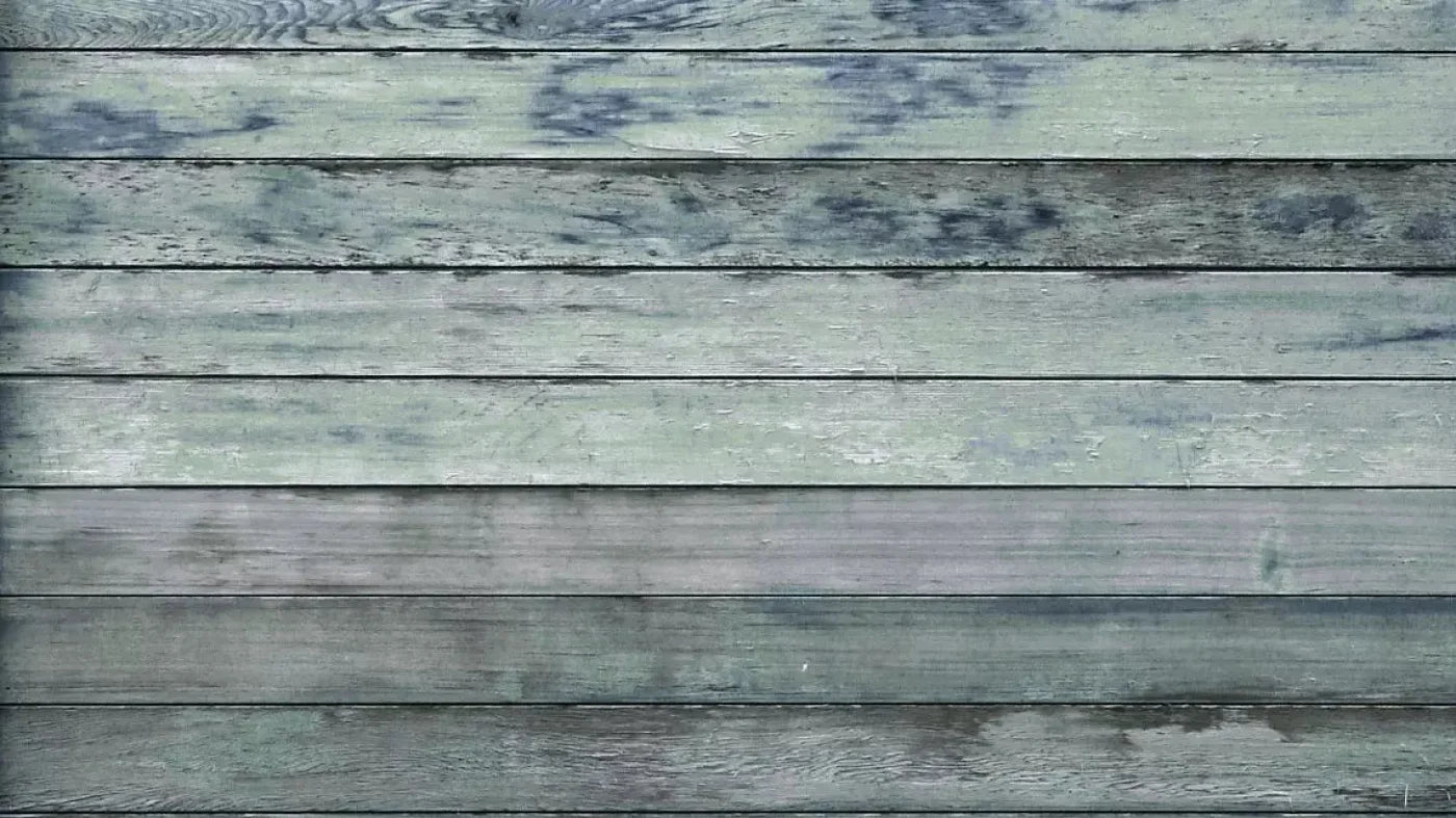 Redeem 14X8 Ultracloth ( 168 X 96 Inch ) Backdrop