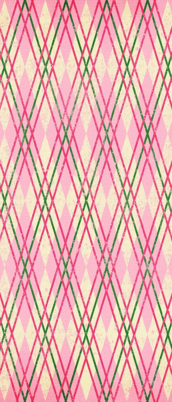 Watermelon 5X12 Ultracloth For Westcott X-Drop ( 60 X 144 Inch ) Backdrop
