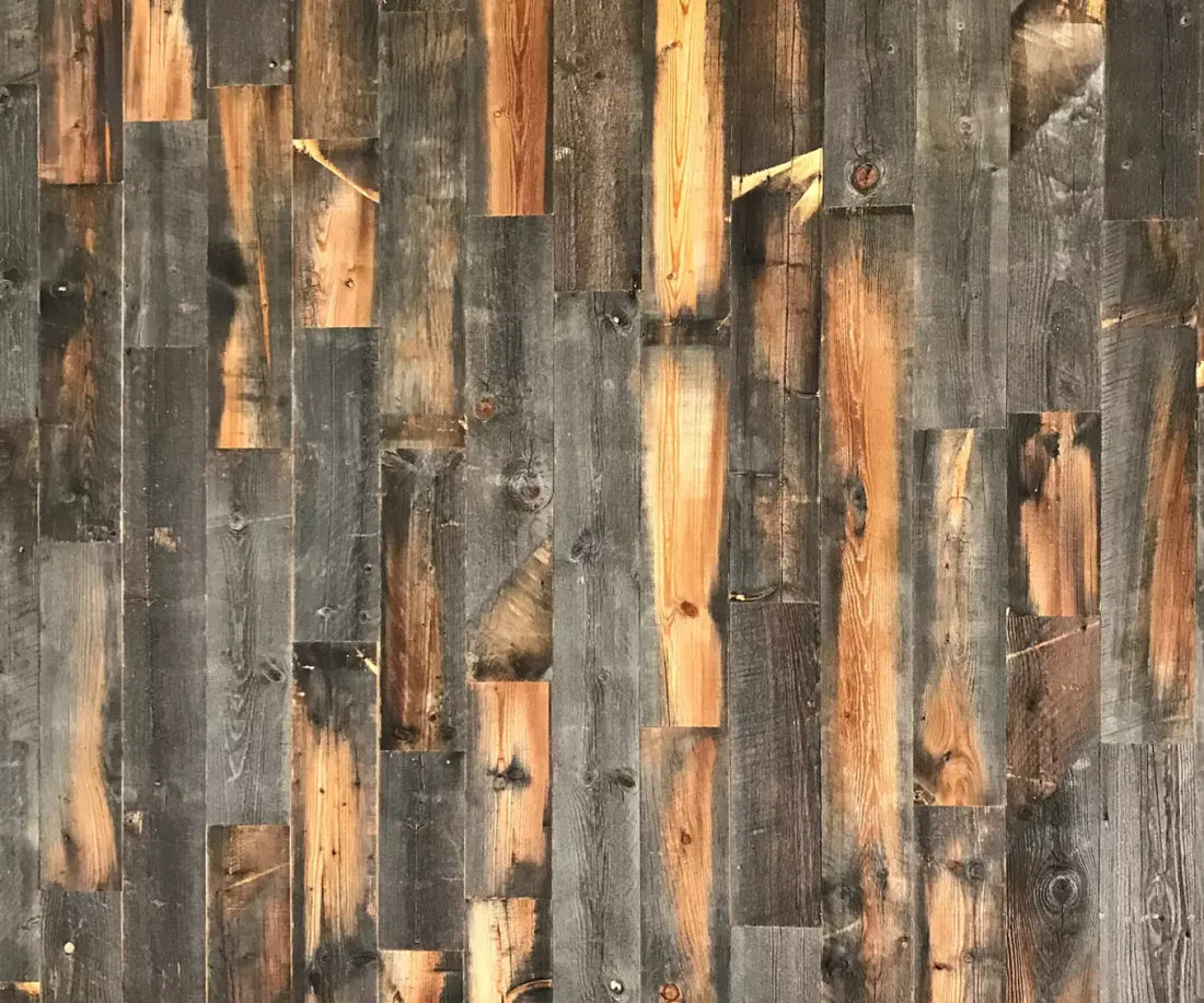 Waylon 5X42 Fleece ( 60 X 50 Inch ) Backdrop