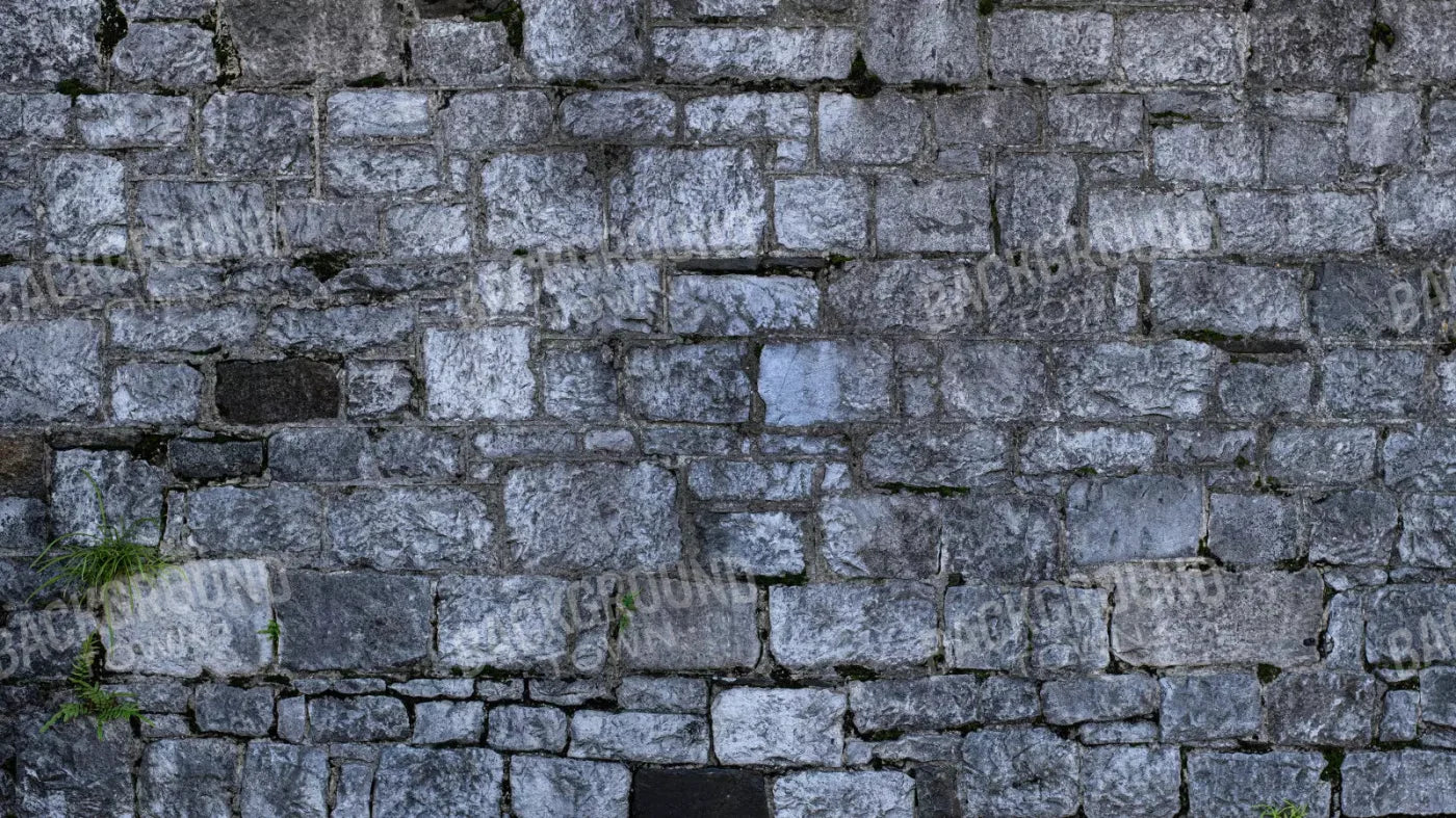 Weathered Cobblestone 14X8 Ultracloth ( 168 X 96 Inch ) Backdrop