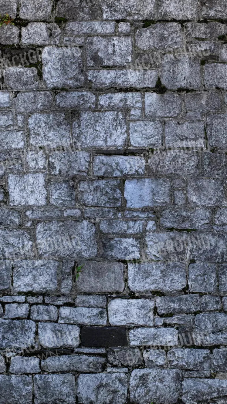 Weathered Cobblestone 8X14 Ultracloth ( 96 X 168 Inch ) Backdrop
