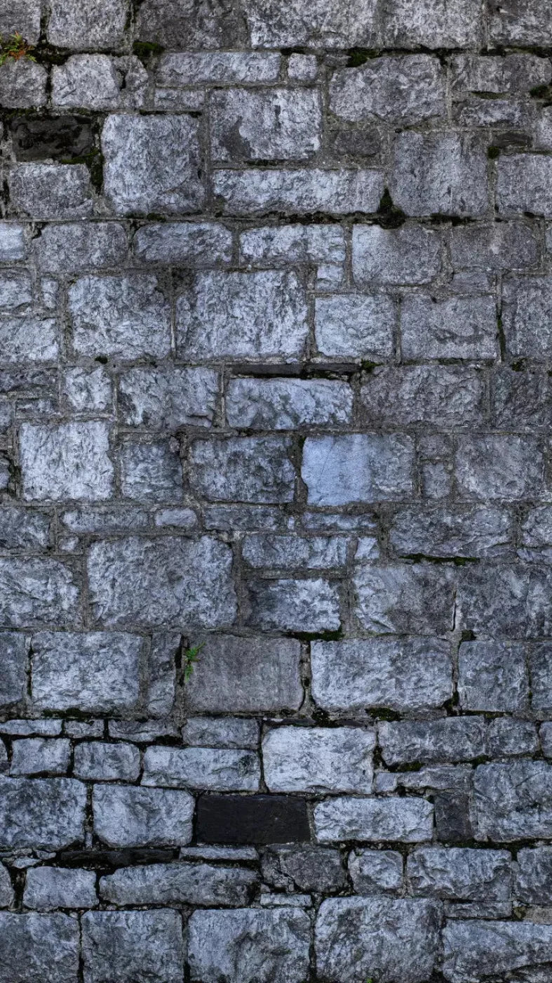 Weathered Cobblestone 8X14 Ultracloth ( 96 X 168 Inch ) Backdrop