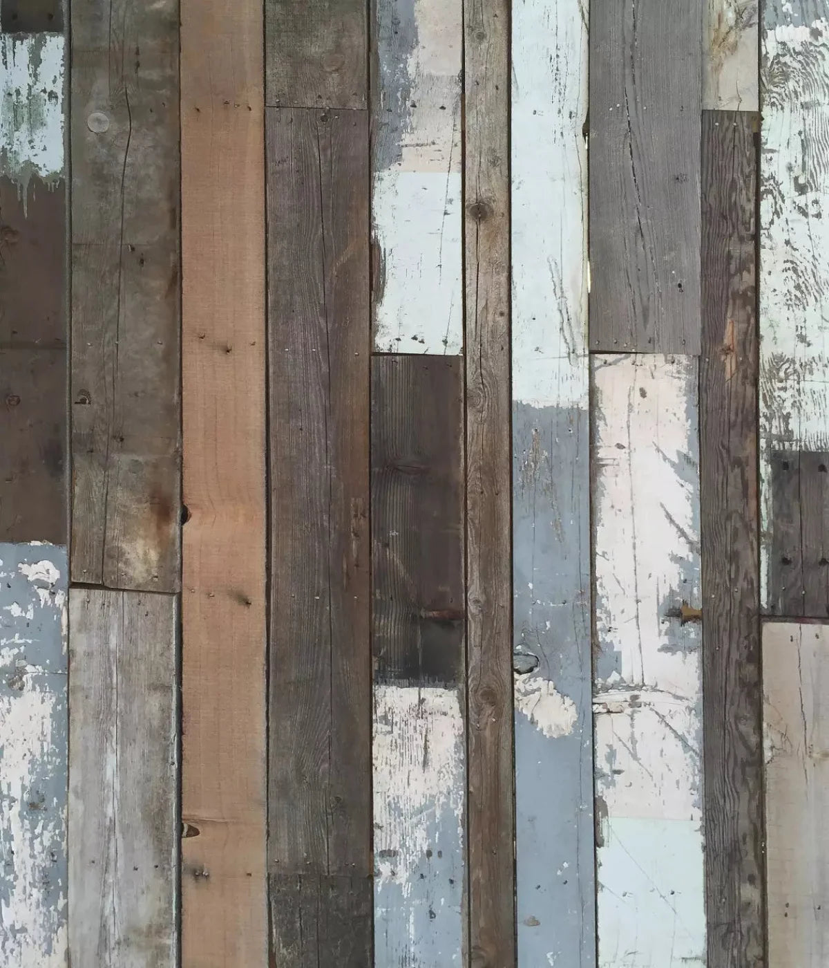 Weathered Woodland 10X12 Ultracloth ( 120 X 144 Inch ) Backdrop