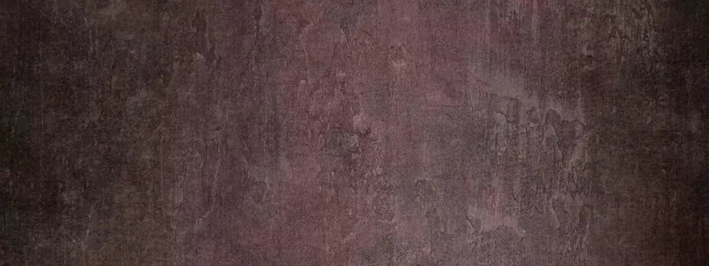 Webster 20X8 Ultracloth ( 240 X 96 Inch ) Backdrop