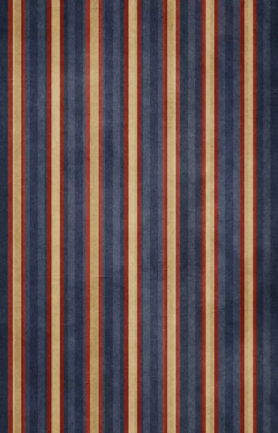 Wesley 8X12 Ultracloth ( 96 X 144 Inch ) Backdrop