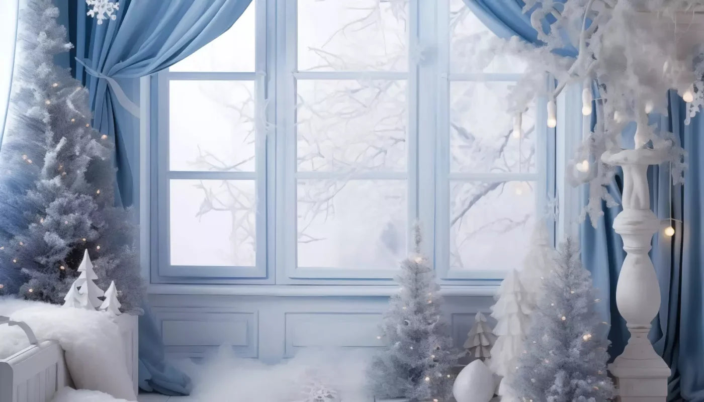 White And Blue Window 2 14X8 Ultracloth ( 168 X 96 Inch ) Backdrop