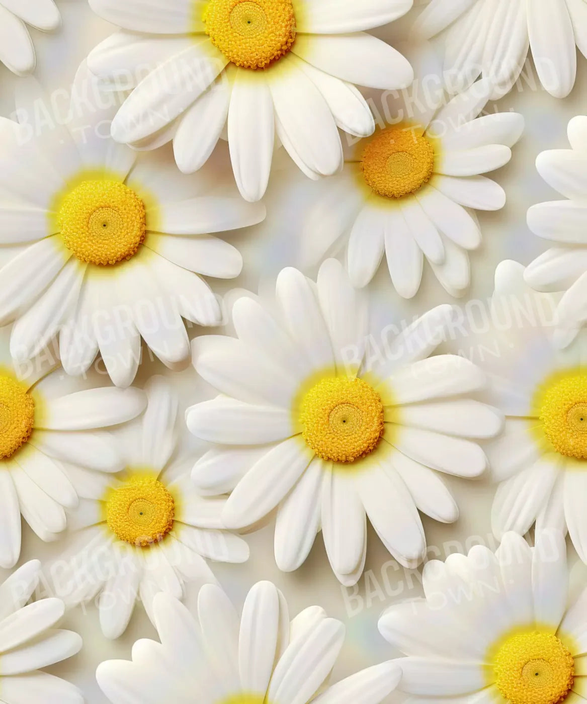 White Daisy I 10X12 Ultracloth ( 120 X 144 Inch ) Backdrop