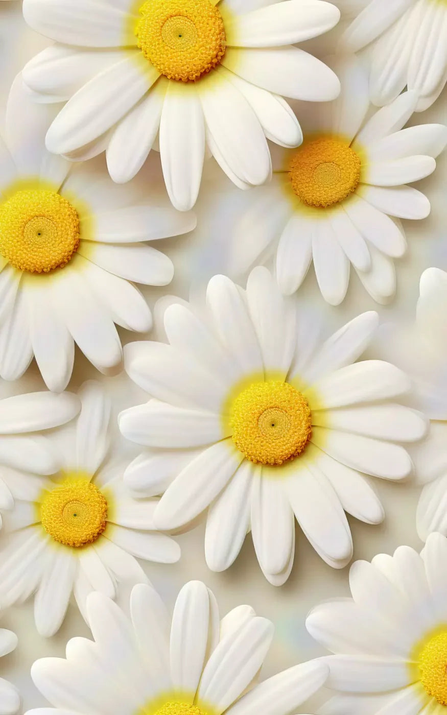 White Daisy I 5X8 Ultracloth ( 60 X 96 Inch ) Backdrop