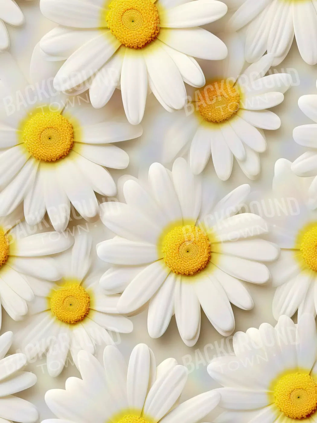 White Daisy I 6X8 Fleece ( 72 X 96 Inch ) Backdrop