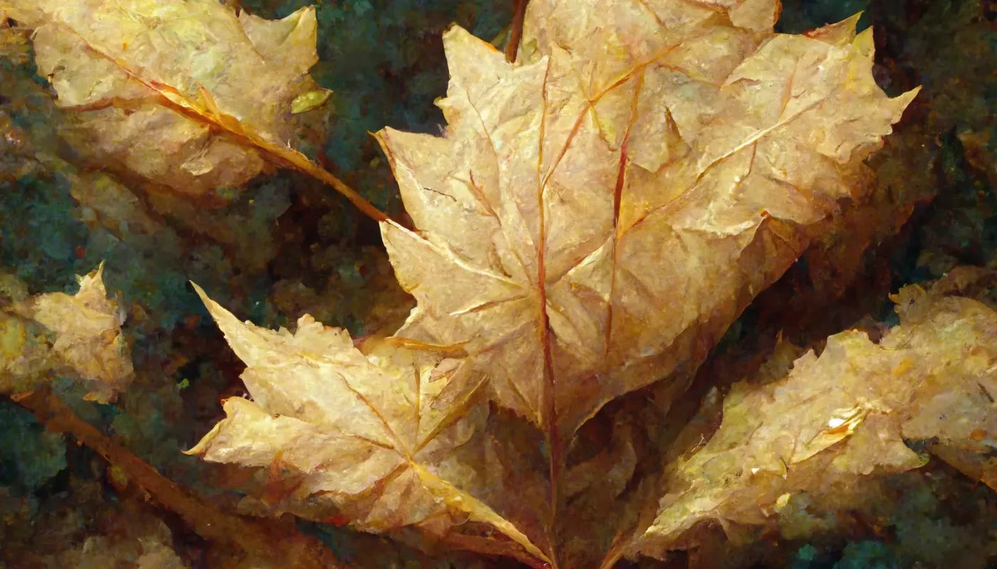 White Maple 14’X8’ Ultracloth (168 X 96 Inch) Backdrop