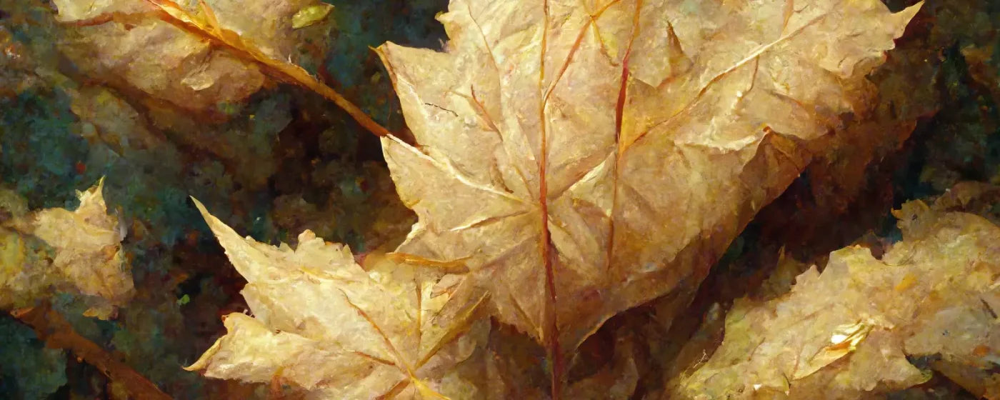 White Maple 20’X8’ Ultracloth (240 X 96 Inch) Backdrop