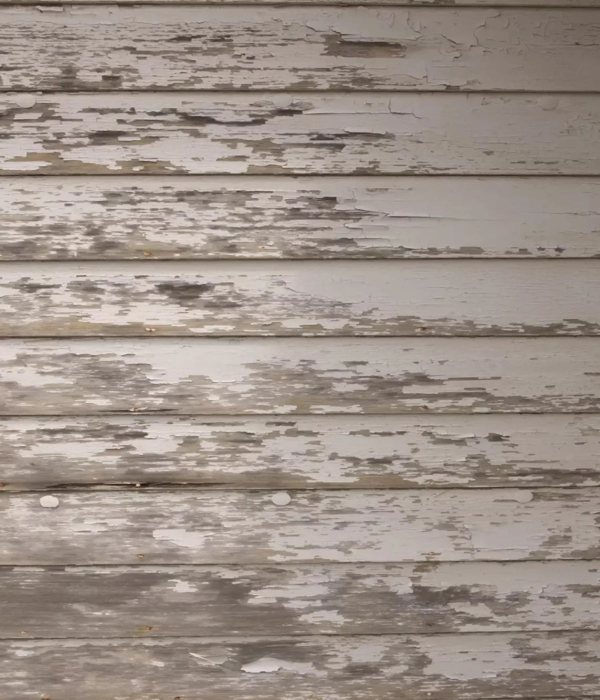 White Paint 10X12 Ultracloth ( 120 X 144 Inch ) Backdrop