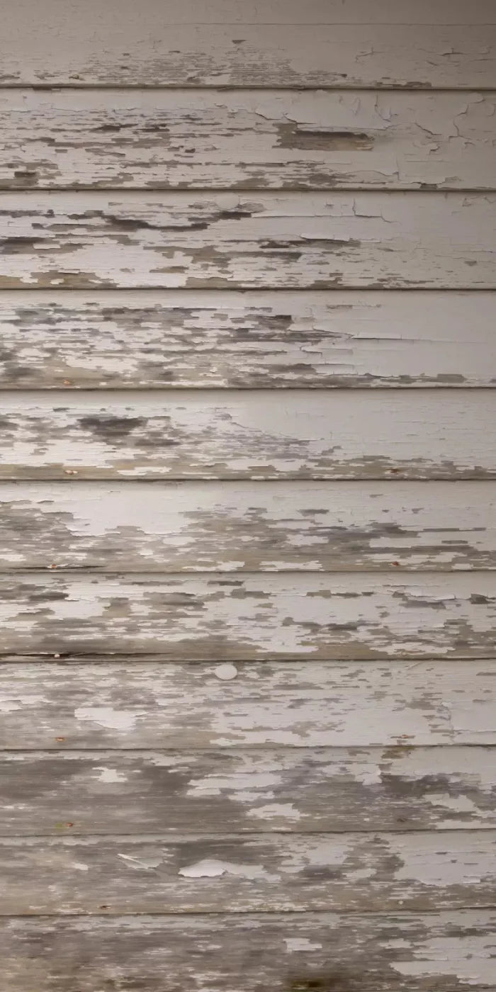 White Paint 10X20 Ultracloth ( 120 X 240 Inch ) Backdrop