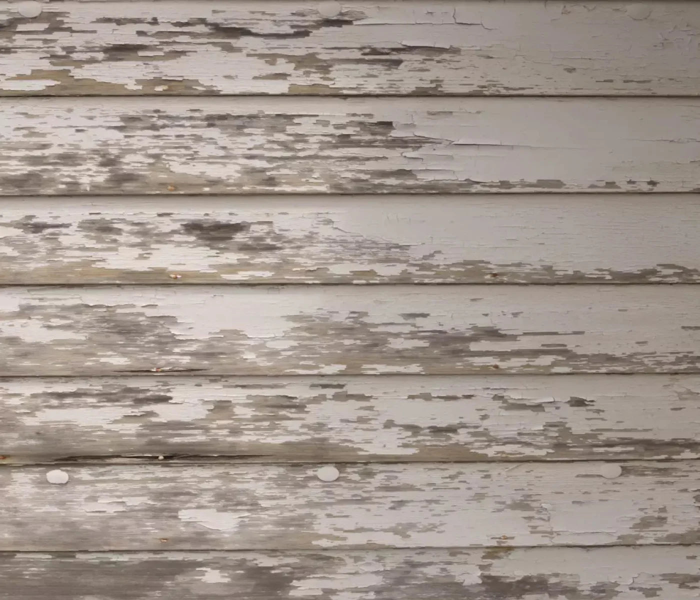 White Paint 12X10 Ultracloth ( 144 X 120 Inch ) Backdrop