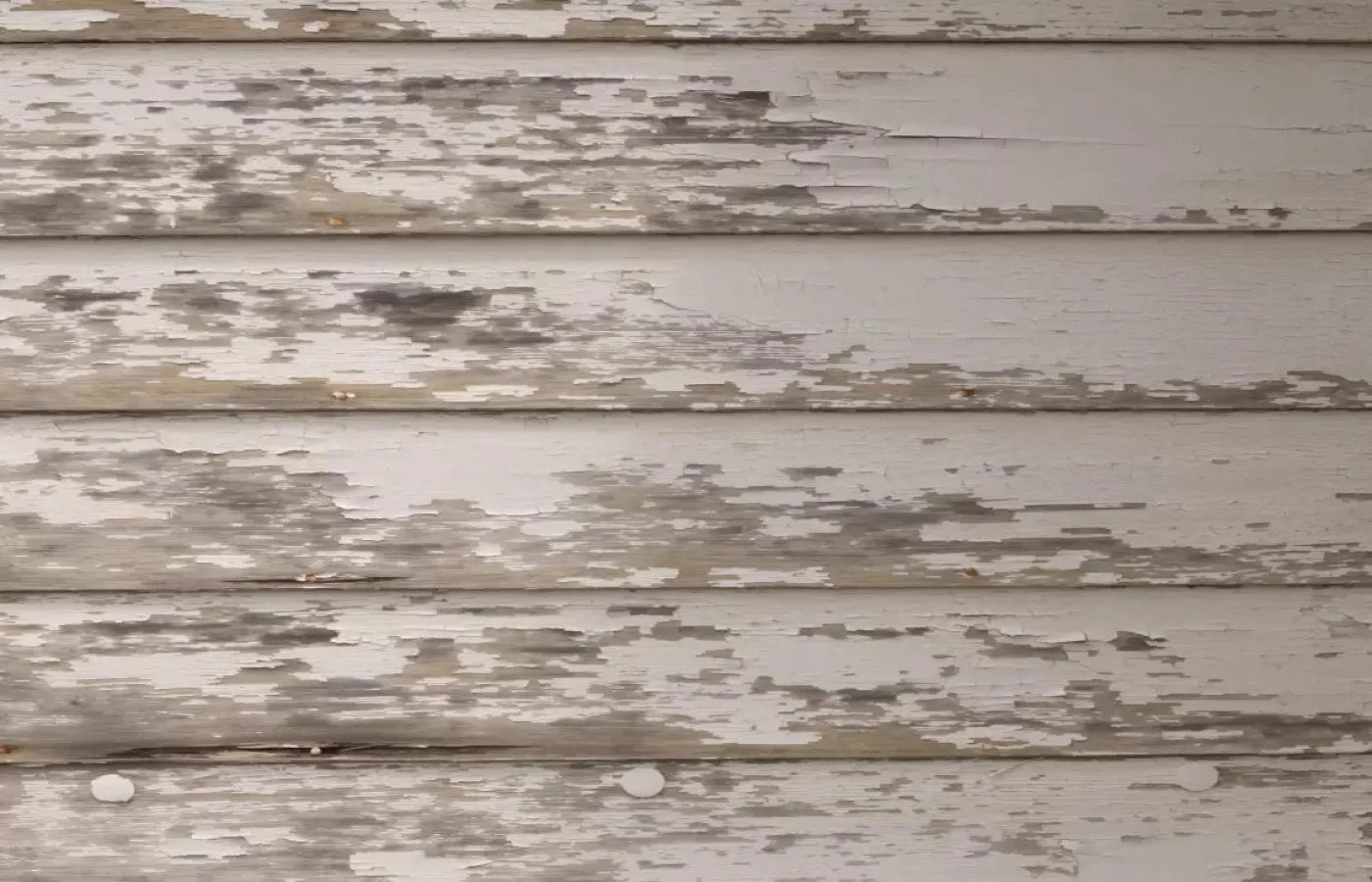 White Paint 12X8 Ultracloth ( 144 X 96 Inch ) Backdrop