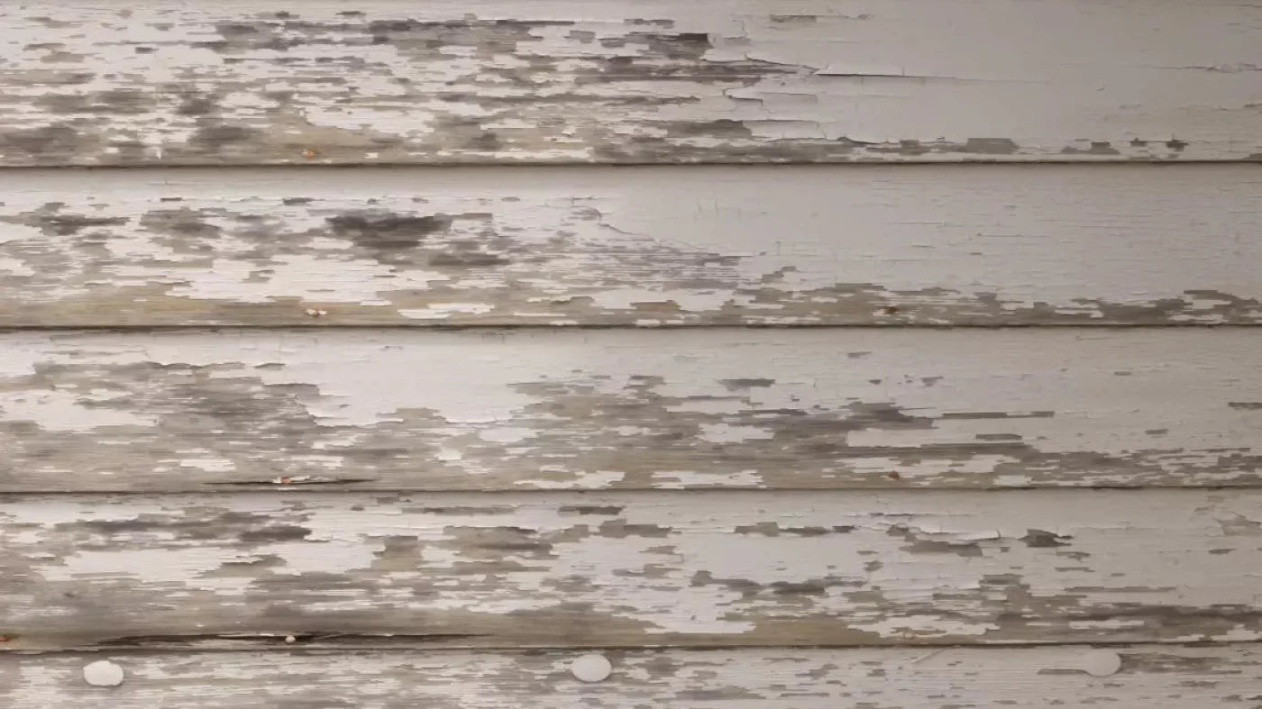 White Paint 14X8 Ultracloth ( 168 X 96 Inch ) Backdrop