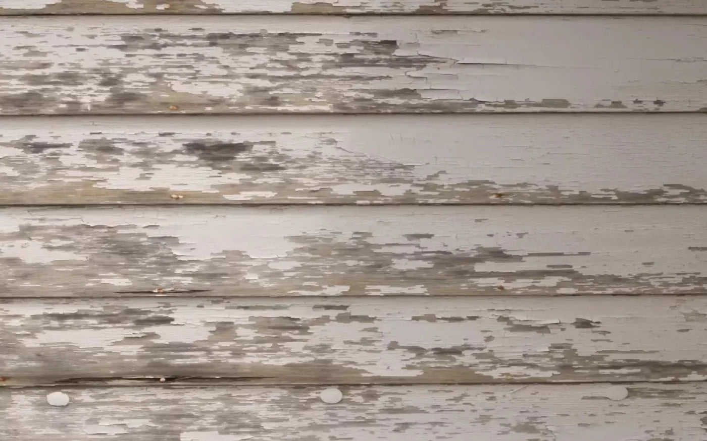 White Paint 14X9 Ultracloth ( 168 X 108 Inch ) Backdrop