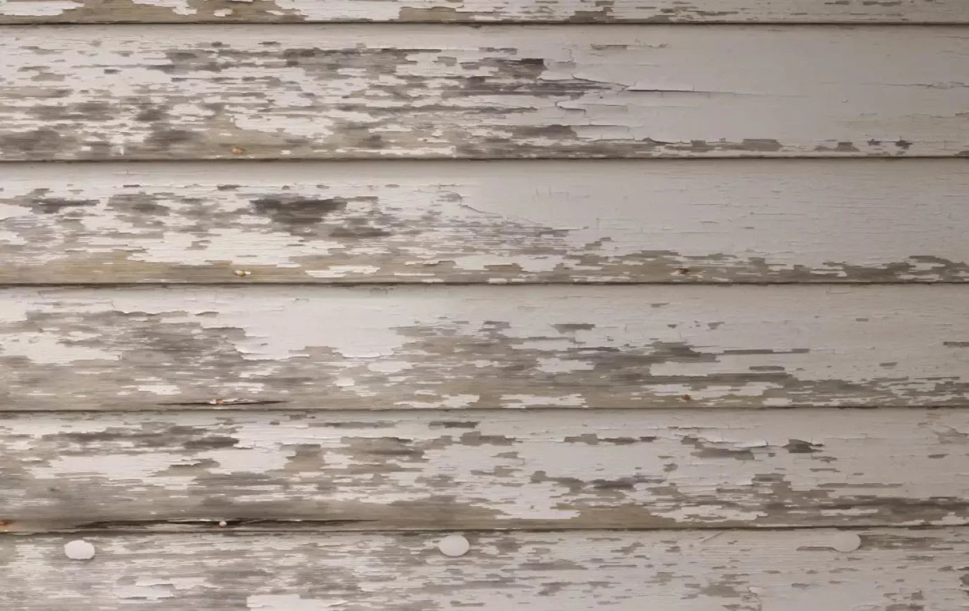 White Paint 16X10 Ultracloth ( 192 X 120 Inch ) Backdrop