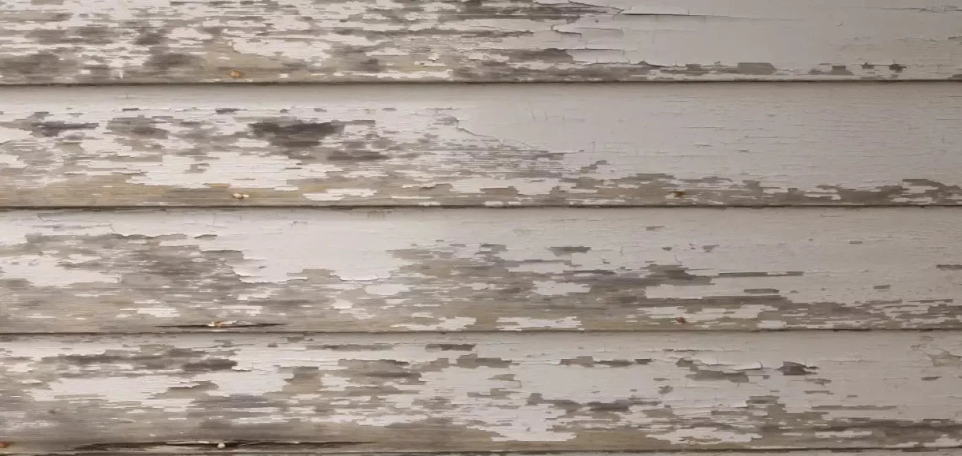 White Paint 16X8 Ultracloth ( 192 X 96 Inch ) Backdrop