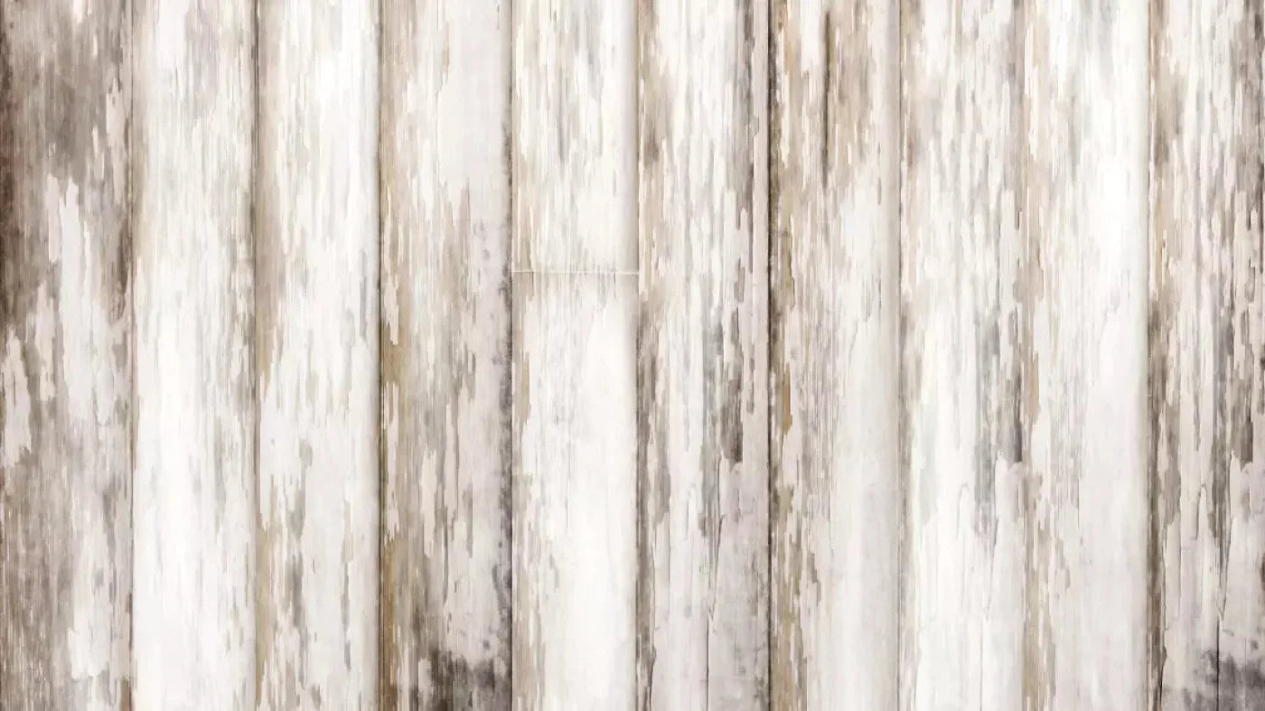 White Paint 2 14X8 Ultracloth ( 168 X 96 Inch ) Backdrop