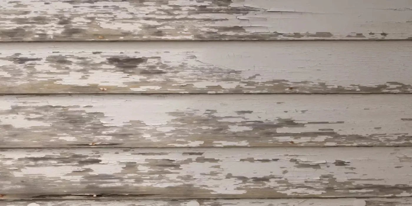 White Paint 20X10 Ultracloth ( 240 X 120 Inch ) Backdrop