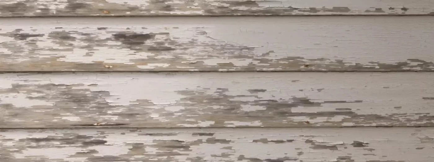 White Paint 20X8 Ultracloth ( 240 X 96 Inch ) Backdrop