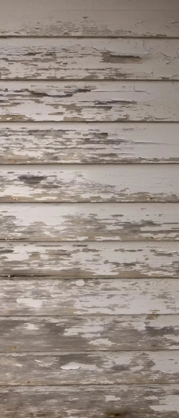 White Paint 5X12 Ultracloth For Westcott X-Drop ( 60 X 144 Inch ) Backdrop